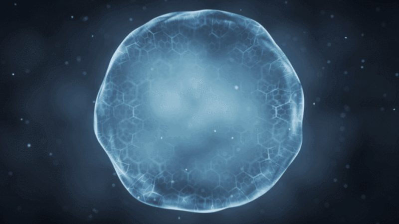 引物双荧光标记修饰：揭秘PCR技术中的关键步骤**