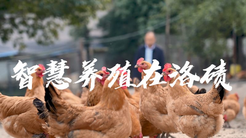 如何选择优质的CRO优化公司：关键要素与误区解析