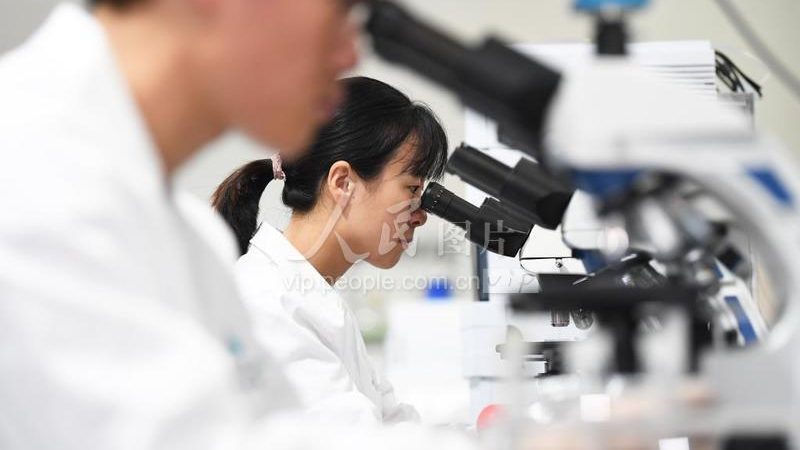 细胞培养基规格参数，如何精准匹配你的实验需求？**