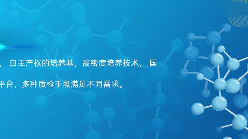 CRo优化工具：揭秘其优势与潜在挑战