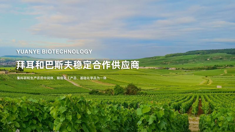 北京生物制品定制流程：揭秘合规与高效的研发之路