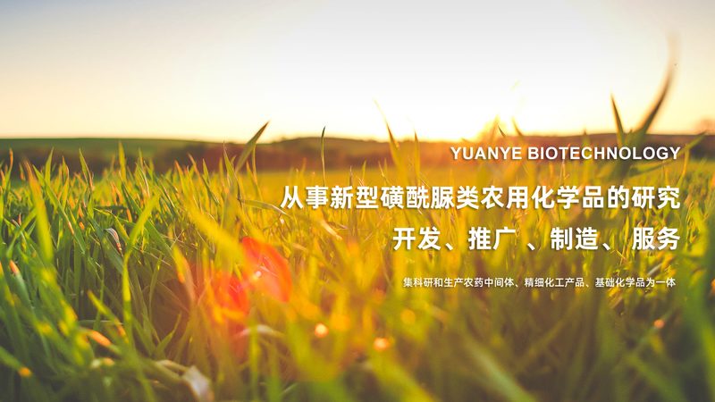 细胞工厂定制流程：揭秘生物制药行业的关键步骤