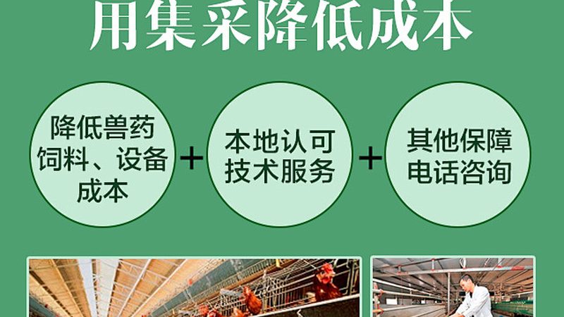 细胞培养技术服务定制，揭秘定制化背后的科学逻辑
