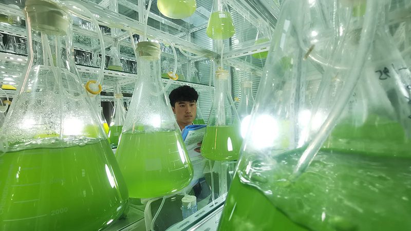 微量离心管：使用中的关键细节与注意事项